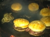 img_1940 img_1940