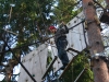 img_5373 img_5373